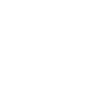 icon-security-WHITE
